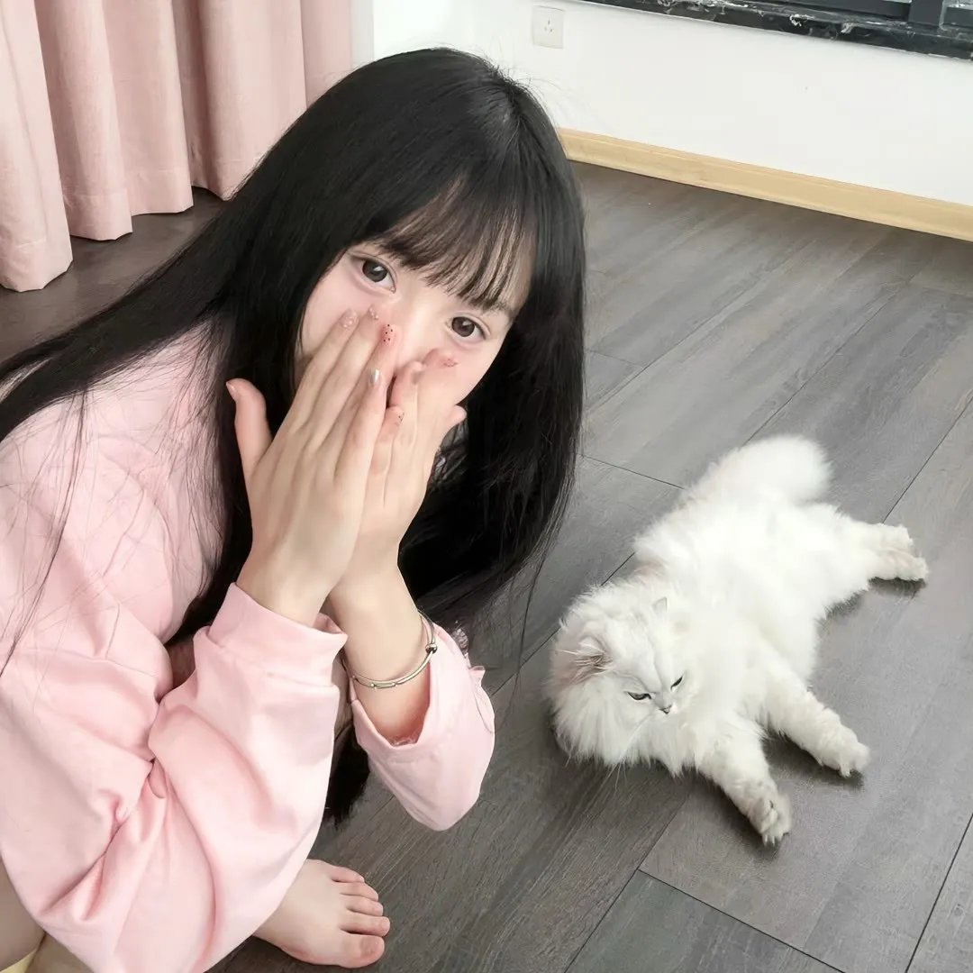 纸船 在线观看